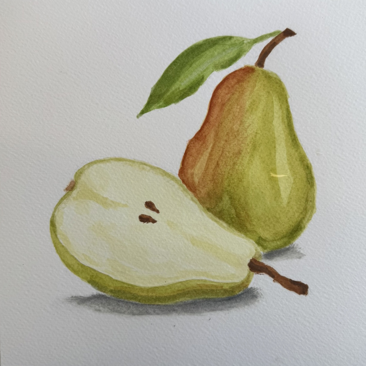 Watercolor Pear